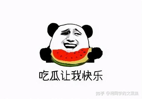 娱乐吃瓜的文案搞笑,笑料百出，吃瓜群众笑翻天！  第3张